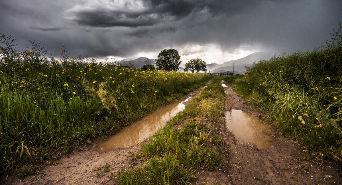 Chance de El Niño entre abril e junho sobe para 84%, diz instituto