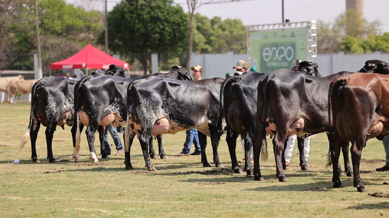Expo Rio Preto cresce 82% e contabiliza R$ 70,3 milhões em negócios