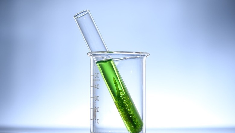 EUA anunciam medida para apoiar setor de biocombustível - Foto