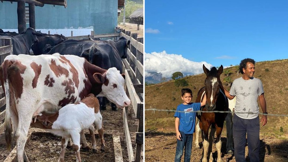Marcos Palmeira e sua família viveram na fazenda durante a pandemia de covid-19 — Foto: Instagram/ Reprodução