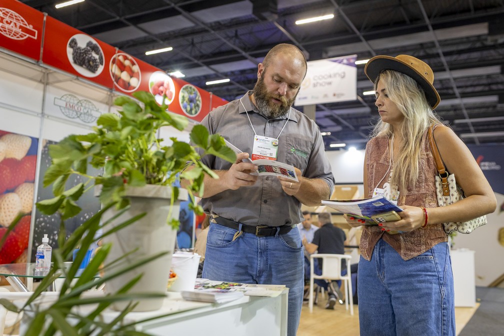 A Fruit Attraction São Paulo reúne produtores, exportadores e compradores de diferentes países, reforçando o papel do Brasil no comércio global de frutas — Foto: Divulgação