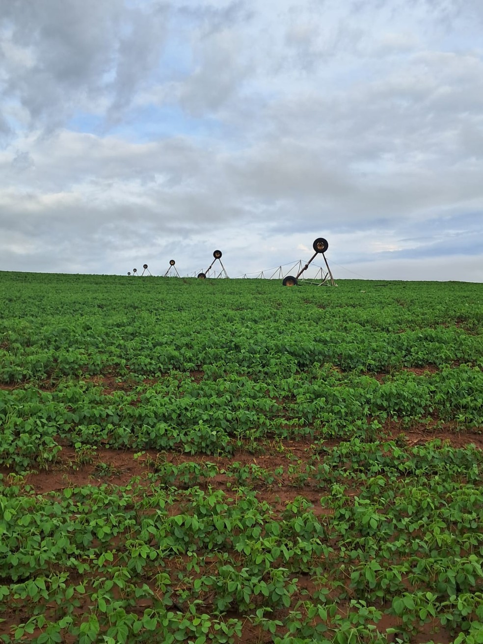 Fortes chuvas e ventos no Paraná destruiu pivô de irrigação — Foto: Faep