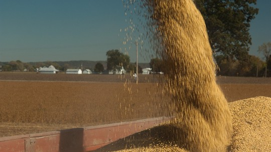 Exportações de milho e soja dos EUA cresceram na última semana