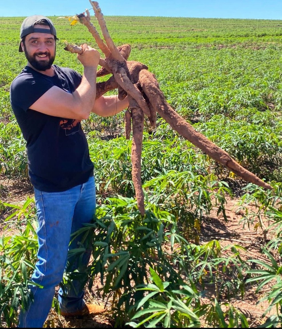 O produtor de mandioca Nelson de Paula Netto pretendia dobrar sua área plantada em Rondon (PR), mas recuou — Foto: Arquivo pessoal