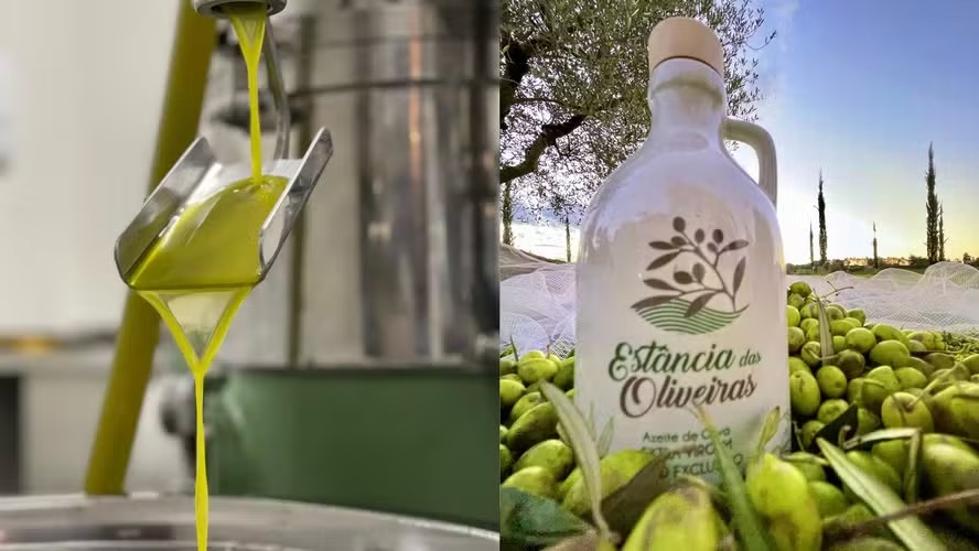 Azeite brasileiro recebe pontuação máxima em concurso internacional