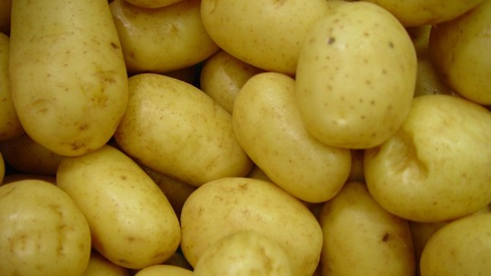 Brasil suspende compras de batata semente do Chile para reavaliar risco de pragas