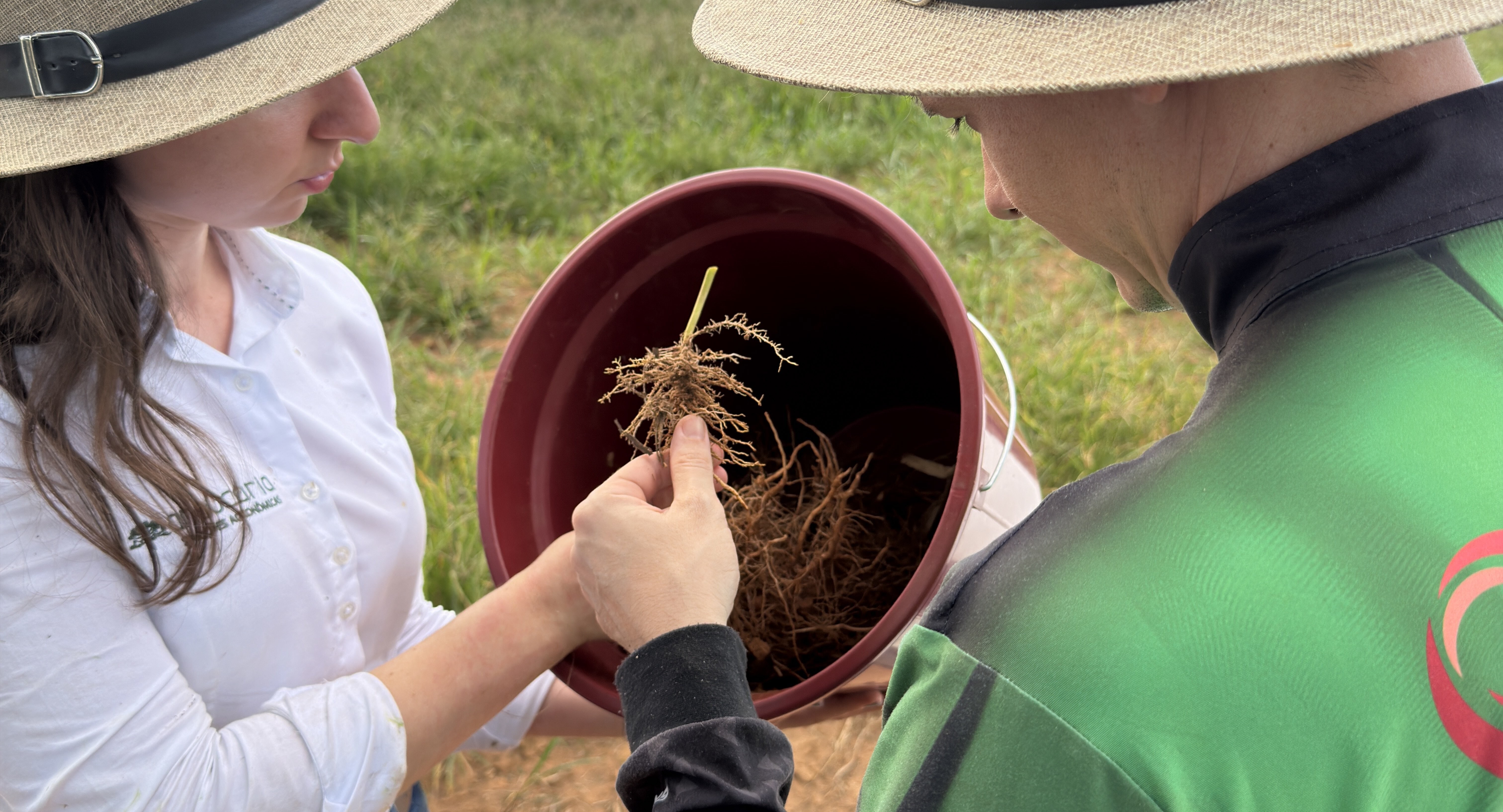 Nematoides foram encontrados em quase 90% de amostras analisadas no Centro-Oeste