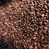 Condições climáticas nas principais regiões produtoras de café ainda geram incertezas - Wenderson Araújo/CNA