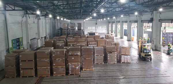 Fiscais agropecuários encontram insetos em embalagens de madeira no Porto de Santos