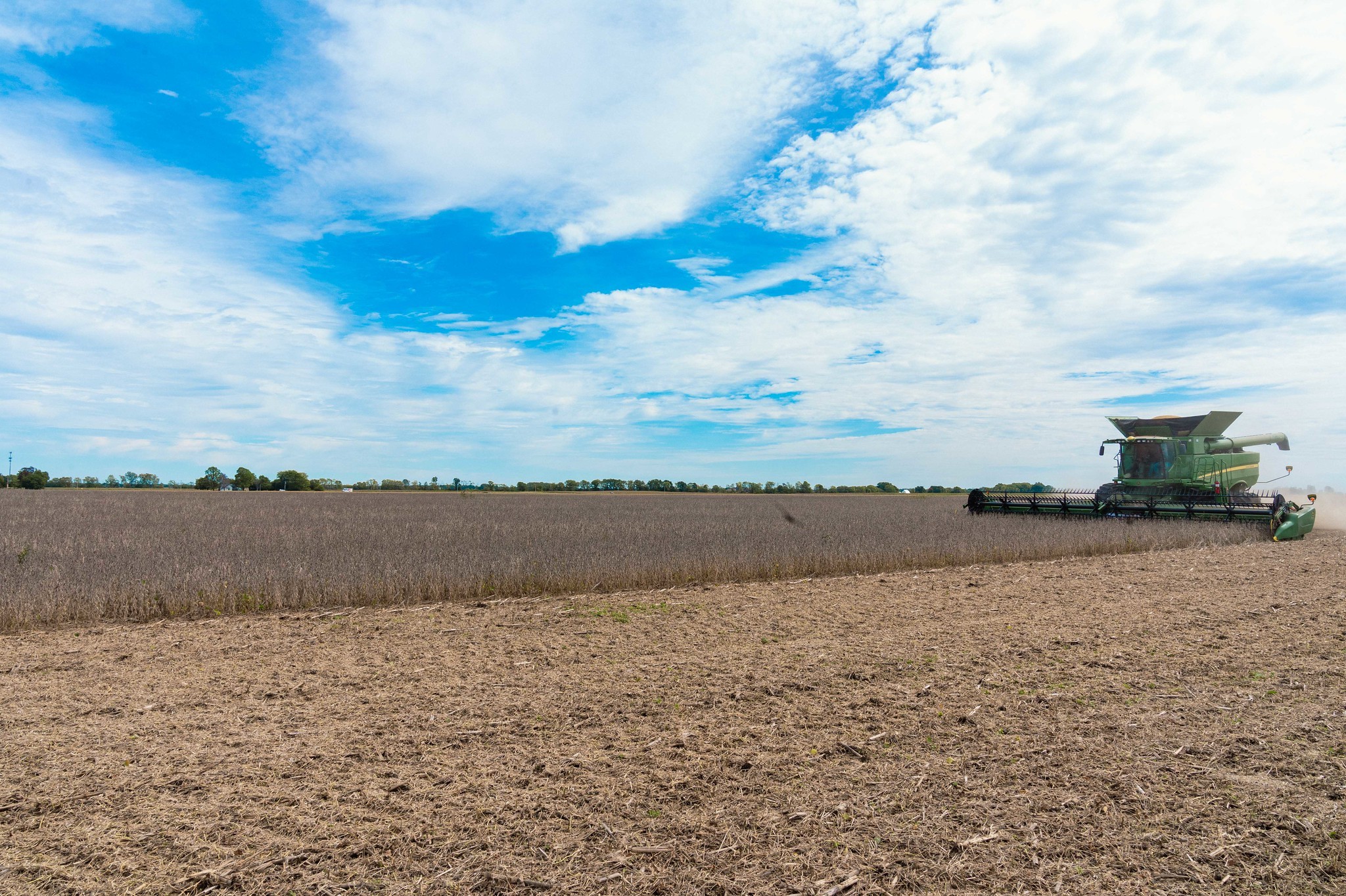 Preço da soja cai em Chicago após recuo da demanda