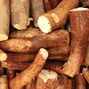 As diferentes variedades de mandioca não podem ser consumidas da mesma forma - Pexels