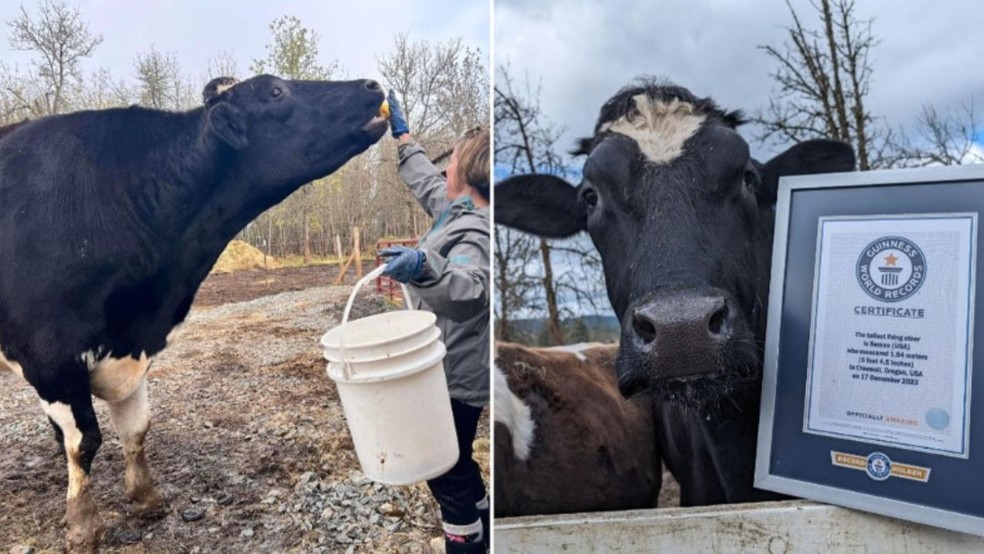 Romeo — Foto: Divulgação/Guinness World Records