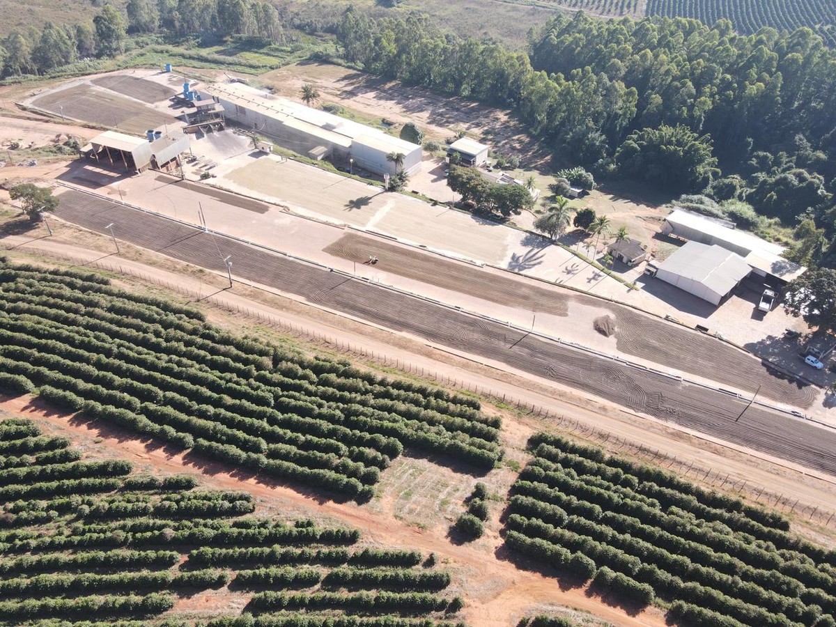 Segundo maior produtor de café do Brasil negocia dívida com credores