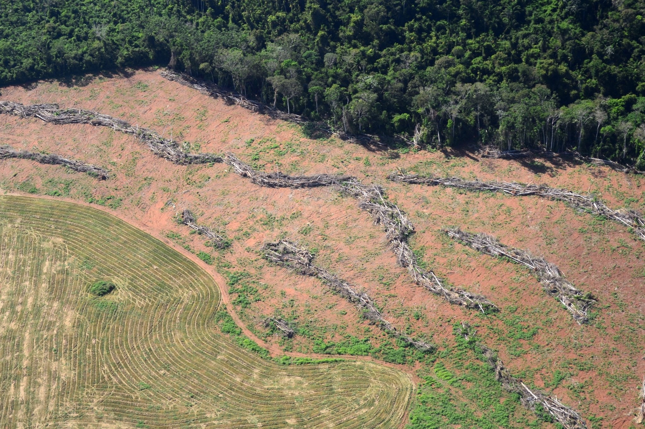 Governo reforça restrições ambientais para concessão de crédito rural