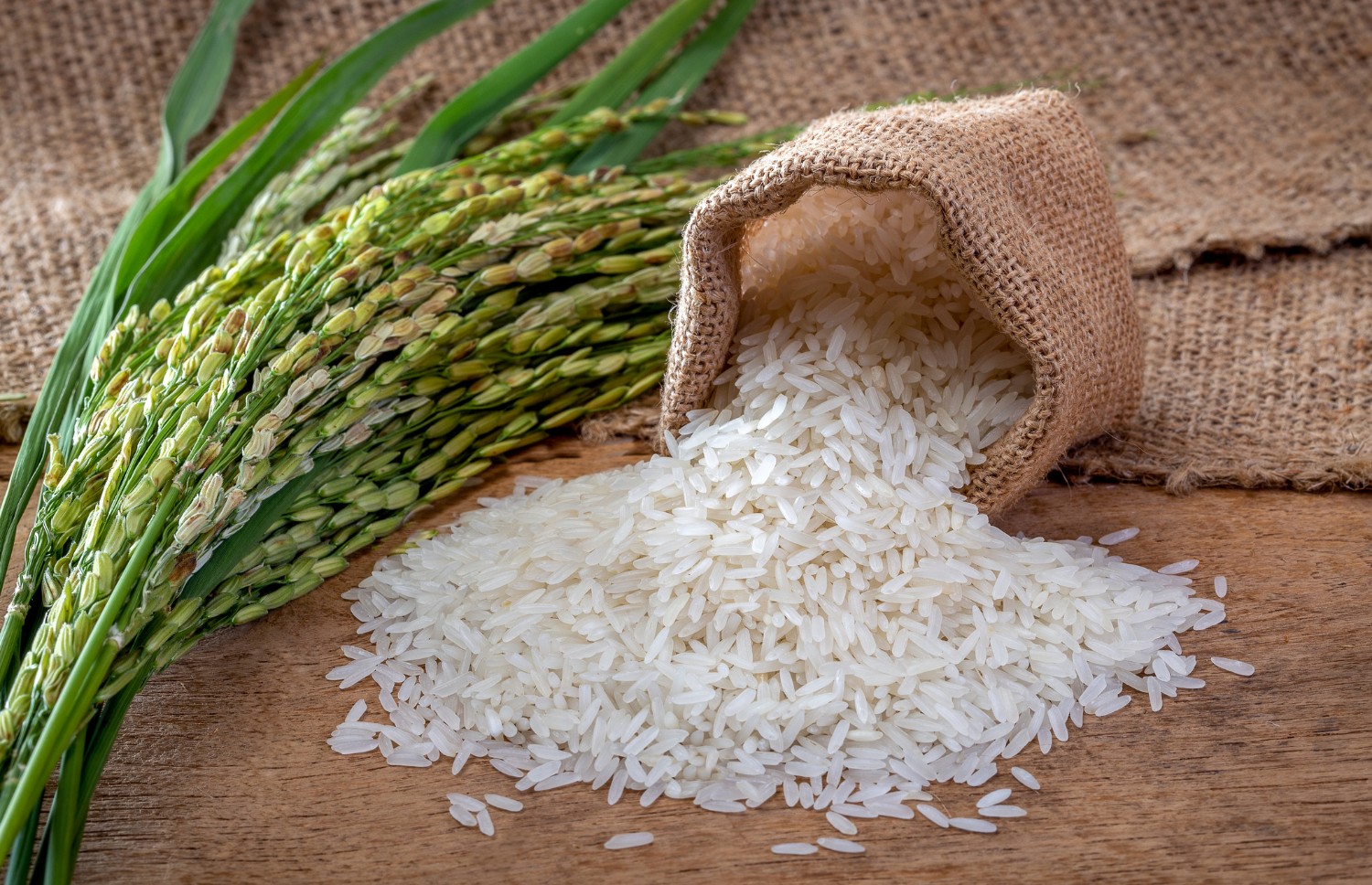 Agricultura vai publicar hoje portaria que regulamenta importação de arroz
