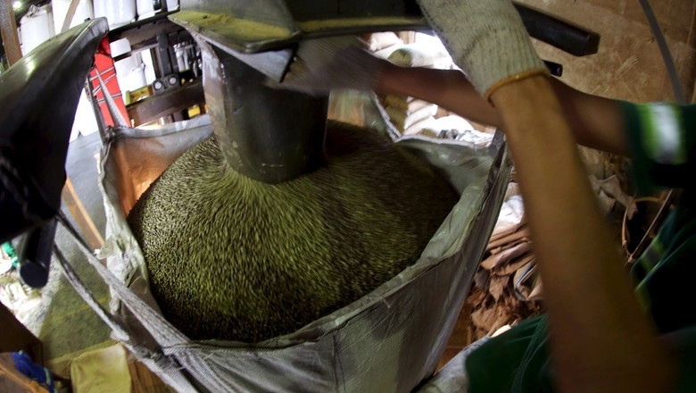 Exportadores de café gastam R$ 3 milhões ao mês com problemas portuários