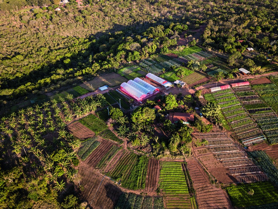 Crédito para pequeno produtor rural, o que é e como conseguir? - Nagro