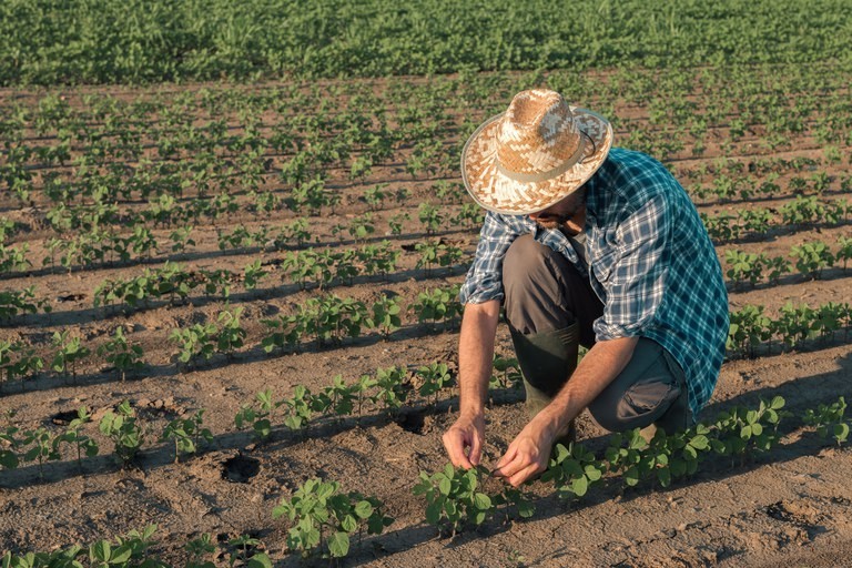 Disponibilidade de recursos para  seguro rural preocupa mais que eventos climáticos, diz Fenseg