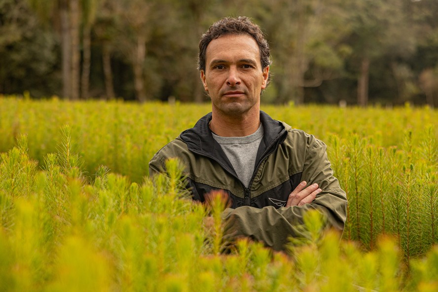 Álvaro Scheffer Junior, diretor da Águia Florestal: mudança no regime de chuvas provocou adaptações