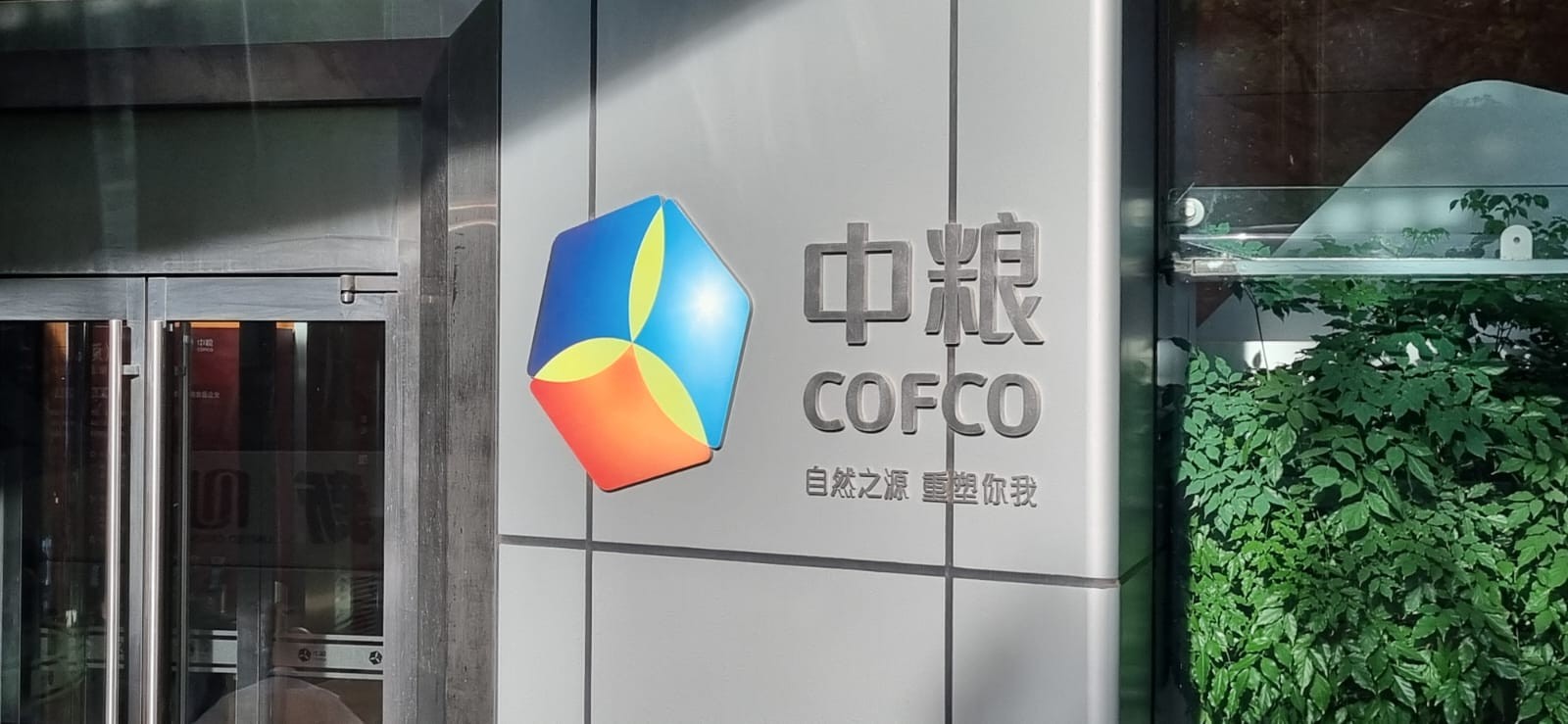 Cofco International adquire duas usinas de açúcar em São Paulo