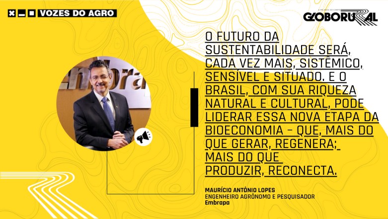 A bioeconomia das conexões