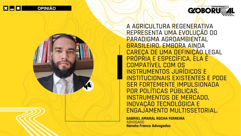 Sustentabilidade no campo: as políticas de incentivo à agricultura regenerativa