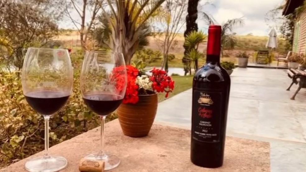 Veja quais são foram os melhores vinhos do Brasil em 2024 — Foto: Reprodução/@valedascolinas