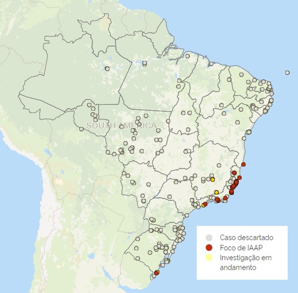 Mapa mostra situação da gripe aviária no país — Foto: Reprodução/Mapa