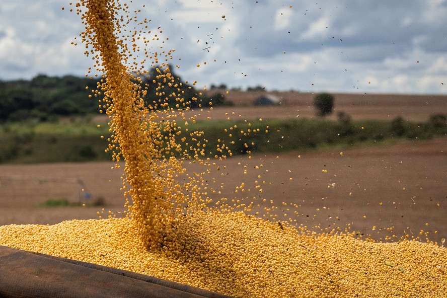 Produção de soja no Brasil em 2022/23 deve ser de 155 milhões de toneladas,  diz consultoria