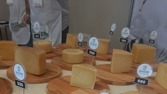 Começa a temporada de concursos de queijos artesanais de Minas Gerais