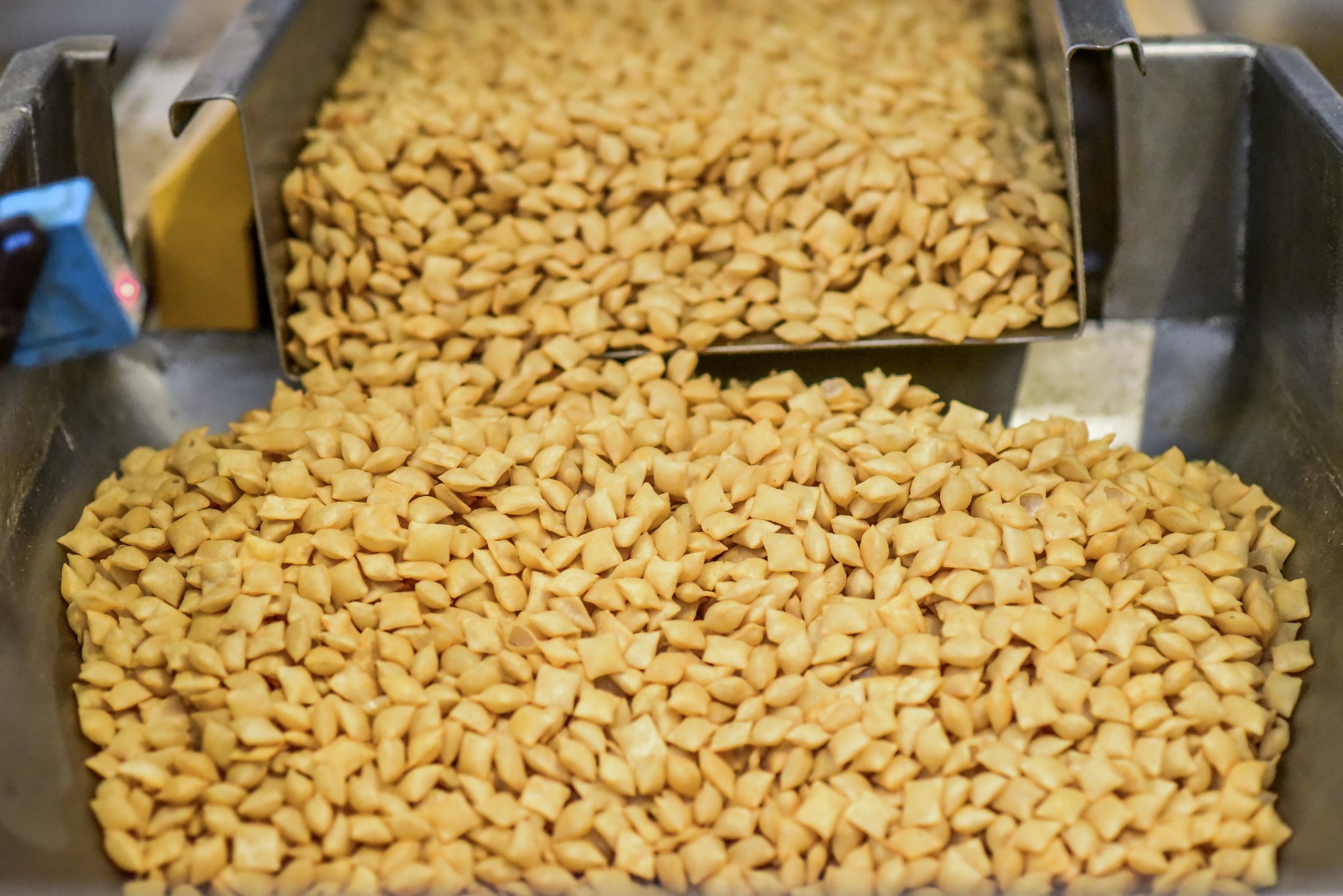 Exportação e tecnologia impulsionam produção de amendoim no país, aponta Embrapa