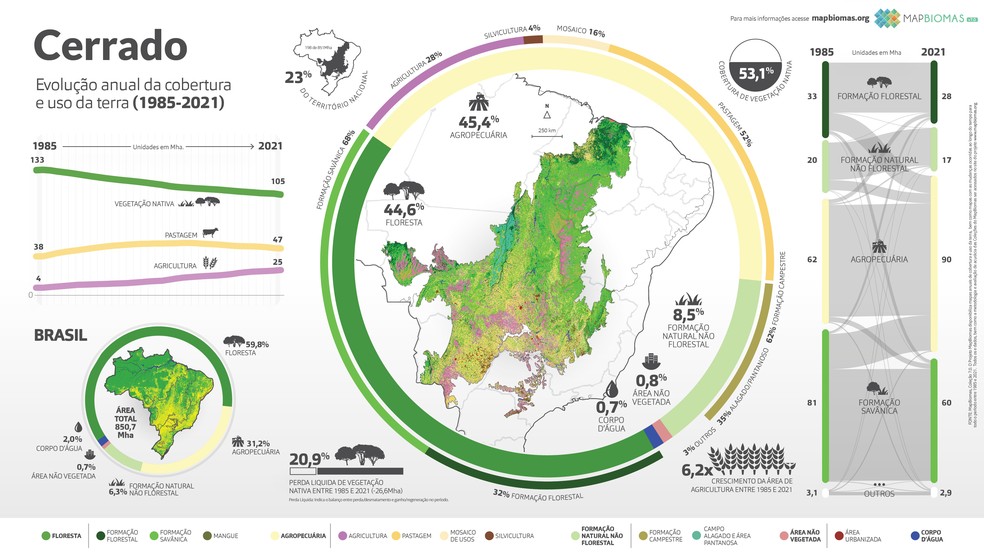 Infográfico do MapBiomas mostra uso do solo no Cerrado de 1985 a 2021 — Foto: Divulgação/MapBiomas