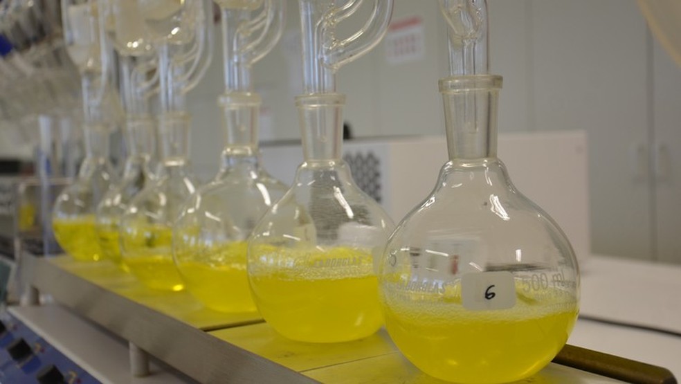 Pela lei do Combustível do Futuro, a mistura de biodiesel ao diesel deve crescer 1 ponto percentual ao ano até chegar aos 20% em 2030 — Foto: Divulgação/Embrapa