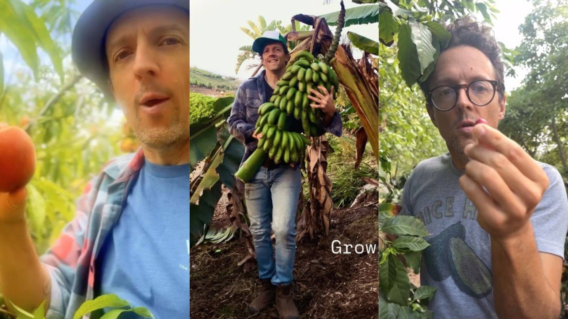 Produtor de café, abacate e mais: conheça o lado rural de Jason Mraz - Foto