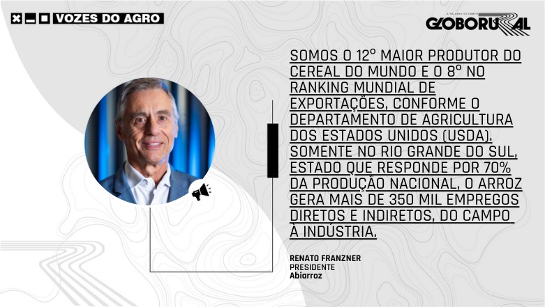 Arroz: o grão que alimenta o país e sustenta nossas raízes
