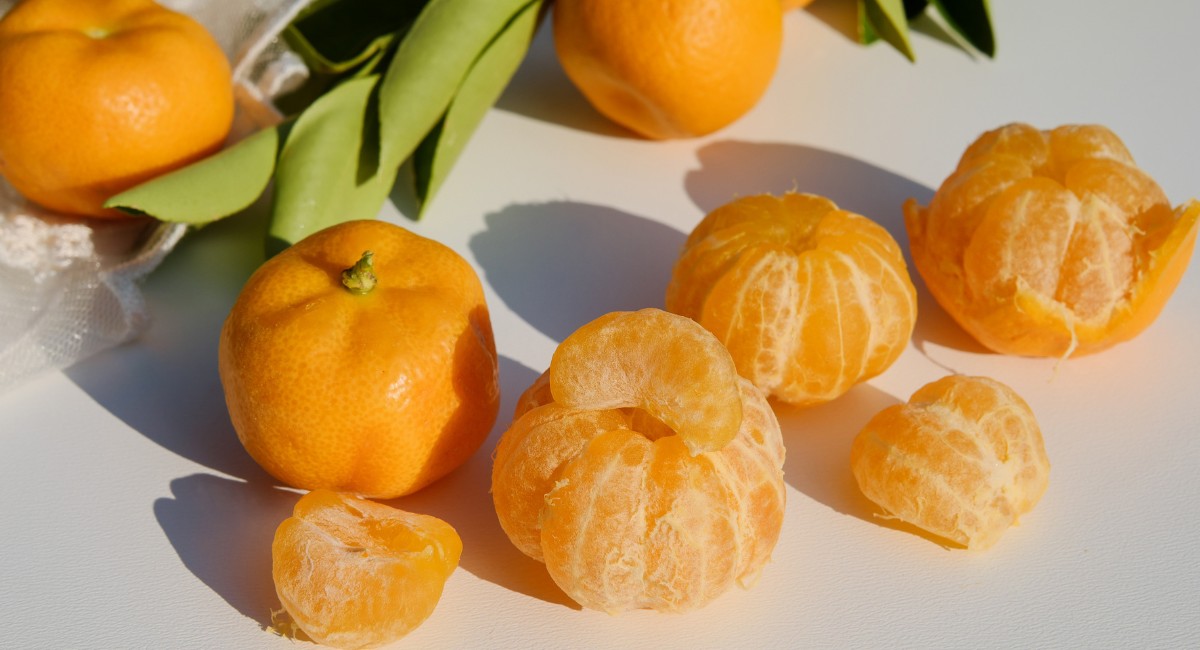 Bergamota, mexerica, tangerina, ponkan: são todas a mesma fruta?