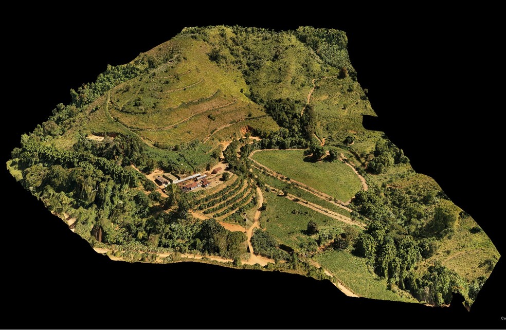 Vista área do sistema agroflorestal para produção de leite e mel pesquisado pela Embrapa Gado de Leite em MG — Foto: Divulgação