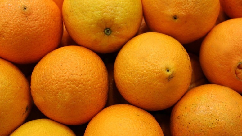 Impactos de incêndios na citricultura paulista são pontuais