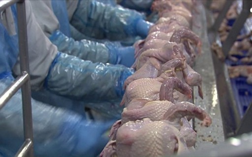 Não há restrição generalizada às exportações de aves do RS, diz ministério