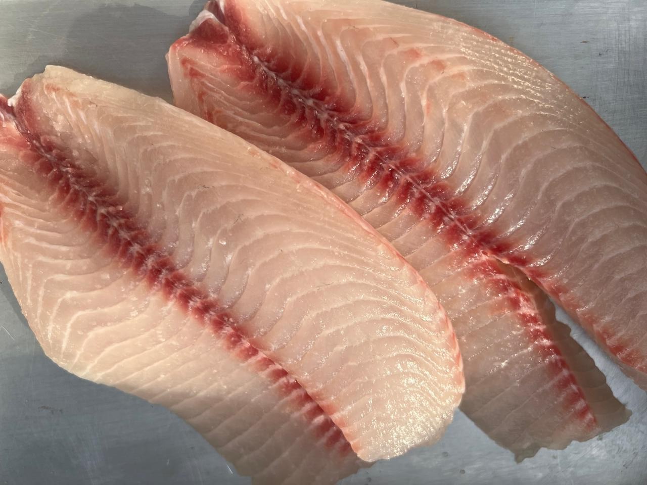 Tarifa para importação da tilápia em SP atinge todos os pescados