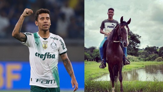 Marcos Rocha, do Palmeiras, investe no agro para ter 'fonte de renda pós-futebol'