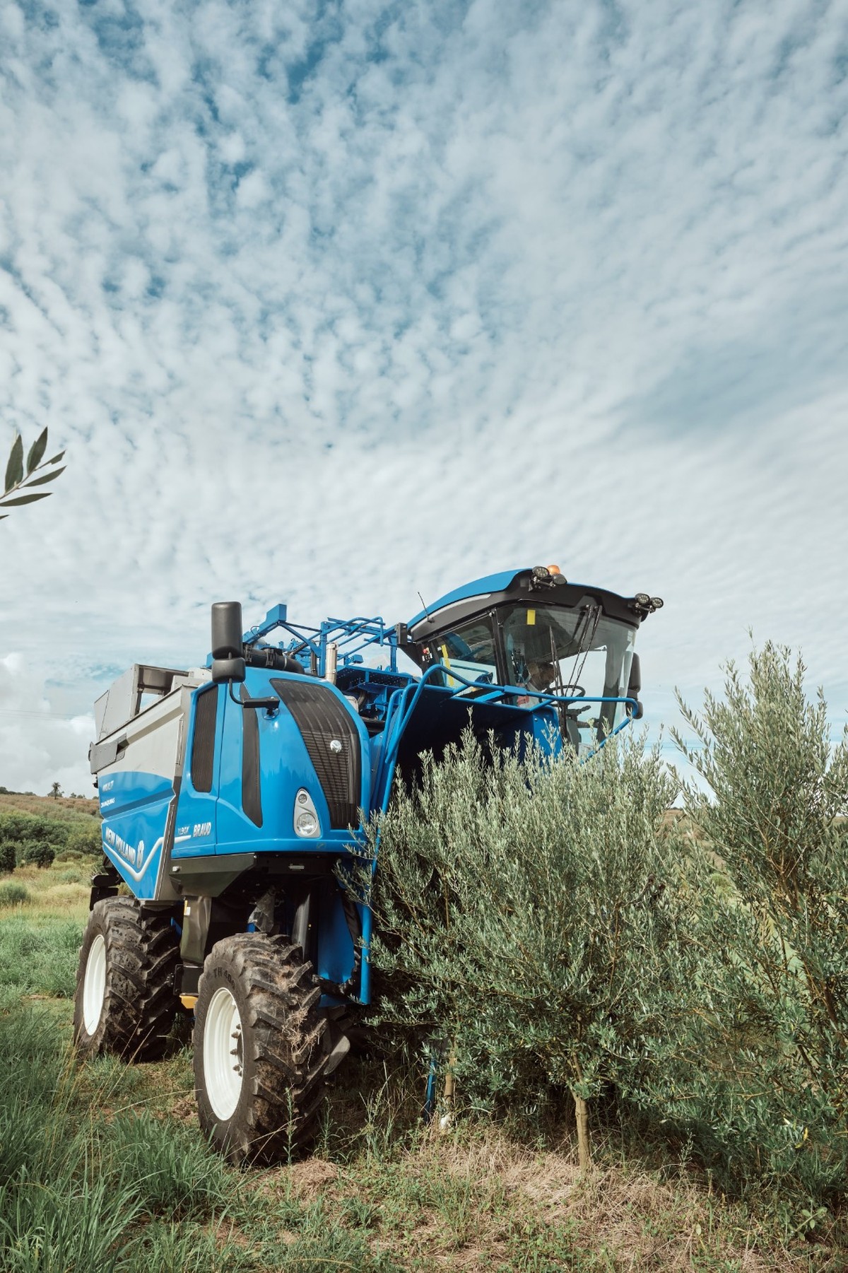 New Holland inicia venda de colheitadeiras