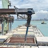 Embarque de milho no Porto de Tubarão (ES) - VLI/Divulgação