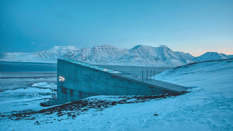 Guardiões da vida: como os bancos de sementes protegem a biodiversidade mundial