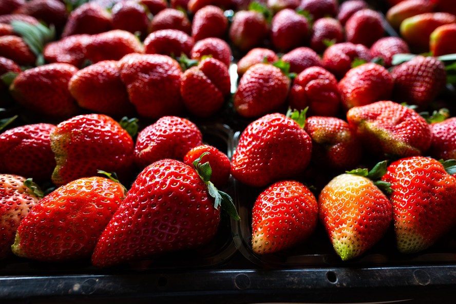 Produtores pessoa física podem financiar até R$ 250 mil