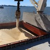 Segundo a Brasilagro, a logística representa 17% do valor da soja - Theo Marques