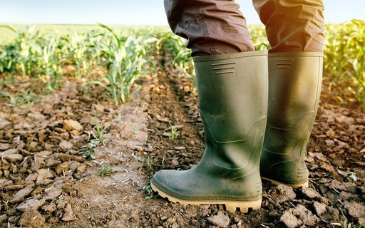 Proagro ganhou sustentabilidade fiscal após reformas, diz ministra