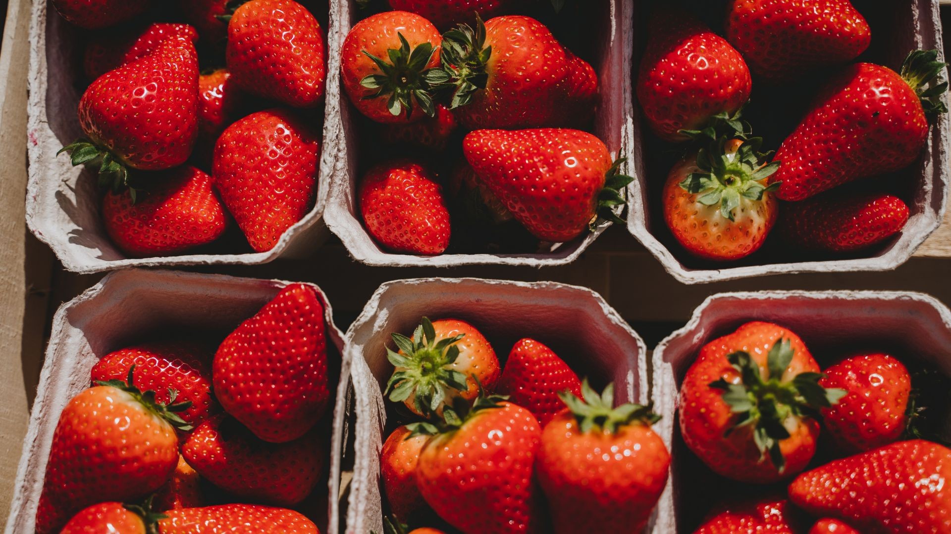Os morangos estão todos iguais? Tamanho certo na bandeja gera polêmica