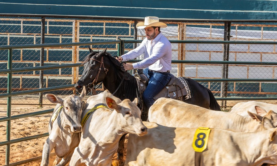 Murilo Huff estreia em competição de manejo de gado a cavalo
