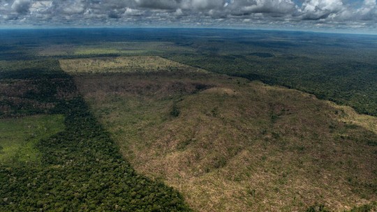 Tocantins cria projeto de crédito de carbono para evitar desmatamento